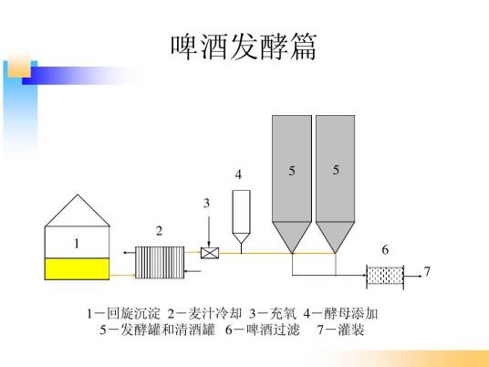 啤酒发酵技术
