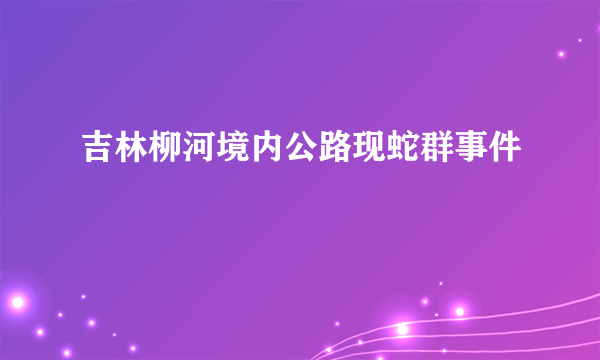 吉林柳河境内公路现蛇群事件