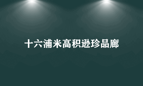 十六浦米高积逊珍品廊