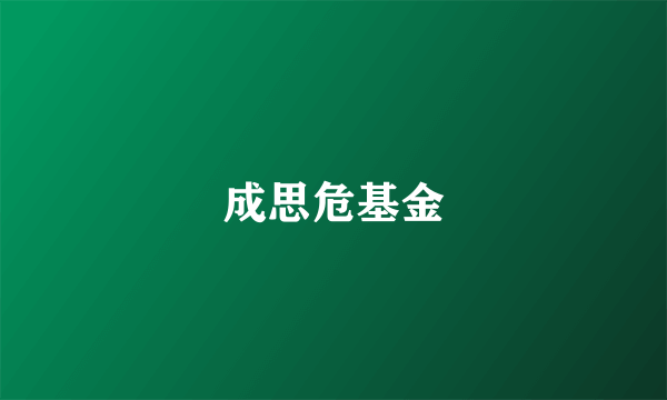 成思危基金