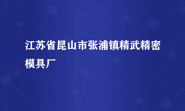 江苏省昆山市张浦镇精武精密模具厂