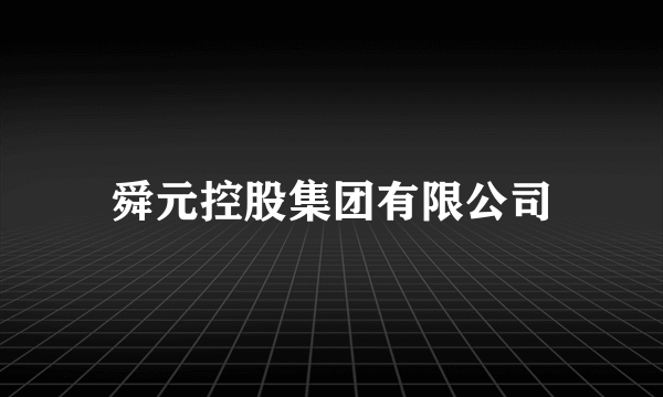舜元控股集团有限公司