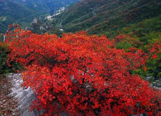 靳家岭游览区