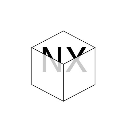 NX（著名思想实验）