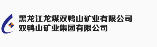 黑龙江龙煤双鸭山矿业有限责任公司