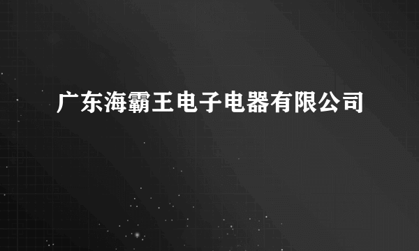 广东海霸王电子电器有限公司