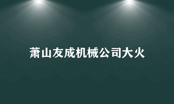 萧山友成机械公司大火