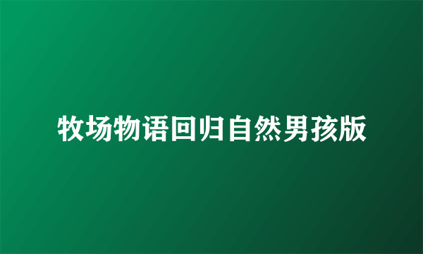 牧场物语回归自然男孩版