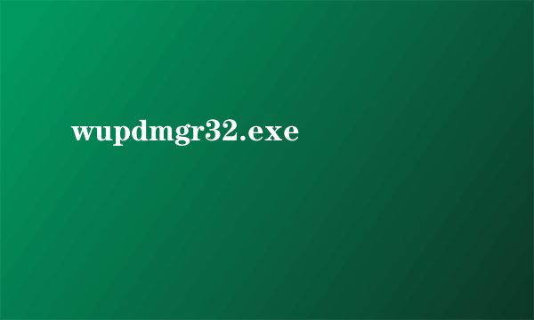 wupdmgr32.exe