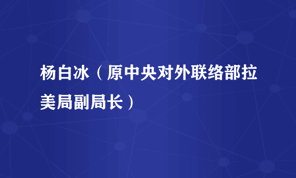 杨白冰（原中央对外联络部拉美局副局长）