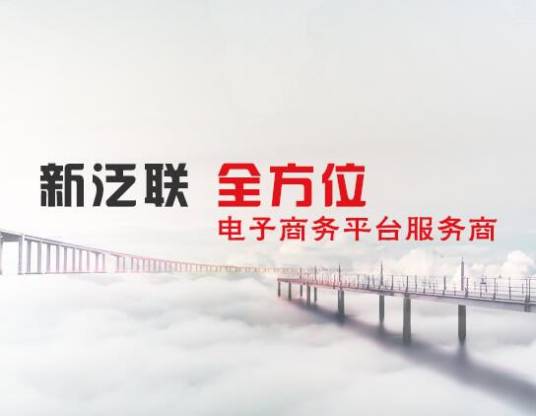 广州市新泛联数码科技有限公司