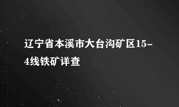 辽宁省本溪市大台沟矿区15-4线铁矿详查