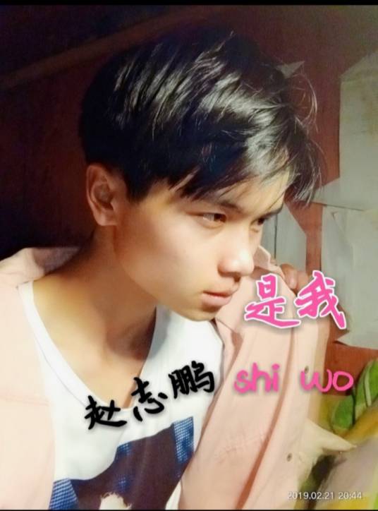 是我（赵志鹏演唱歌曲）