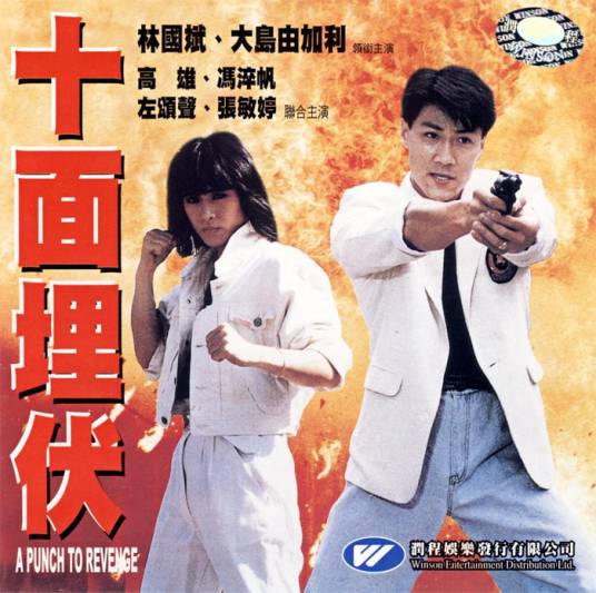 十面埋伏（1989年李超执导电影）