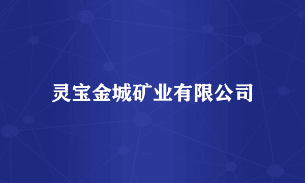 灵宝金城矿业有限公司
