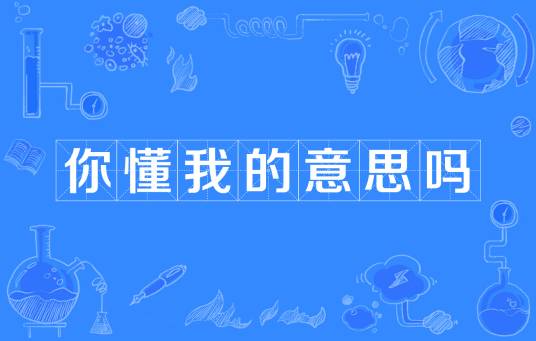 你懂我的意思吗