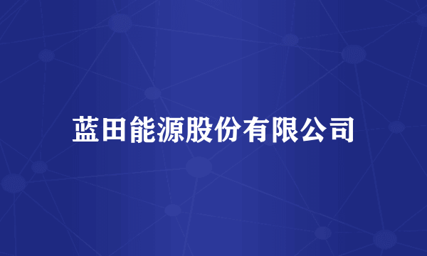 蓝田能源股份有限公司