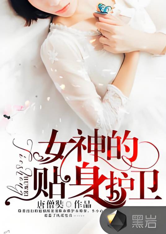 女神的贴身护卫（唐僧奘创作的网络小说）