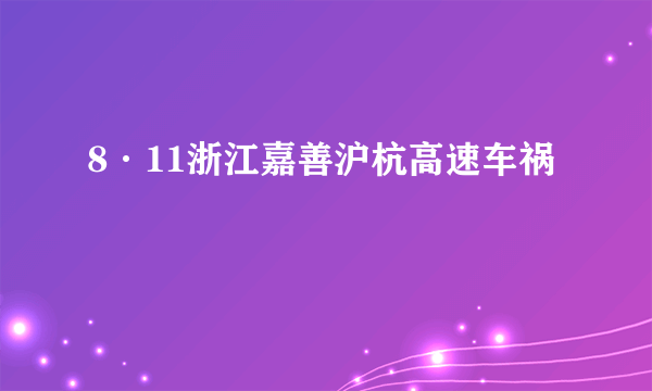 8·11浙江嘉善沪杭高速车祸