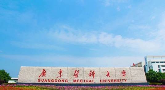 广东医科大学药学院