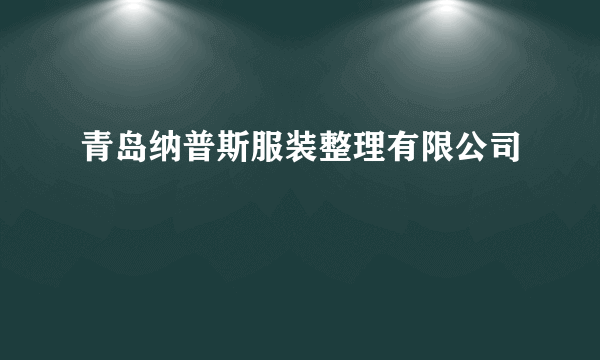 青岛纳普斯服装整理有限公司