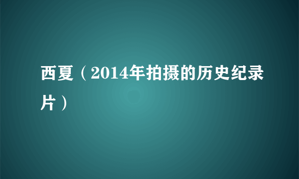 西夏（2014年拍摄的历史纪录片）