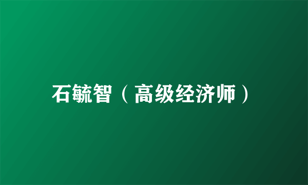 石毓智（高级经济师）
