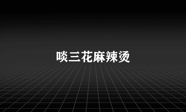 啖三花麻辣烫
