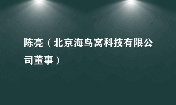 陈亮（北京海鸟窝科技有限公司董事）