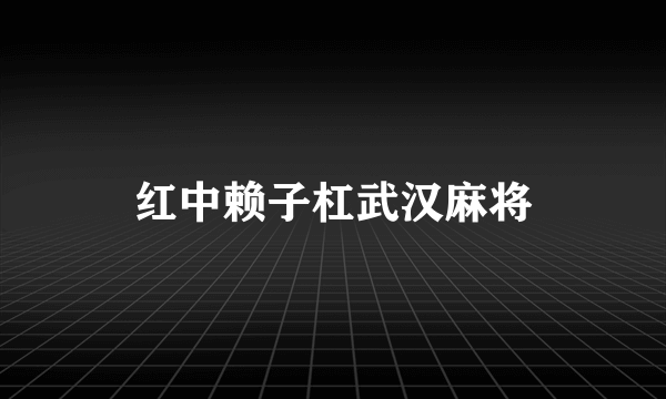 红中赖子杠武汉麻将