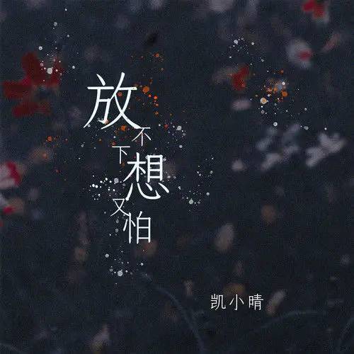 放不下想又怕（凯小晴演唱的歌曲）