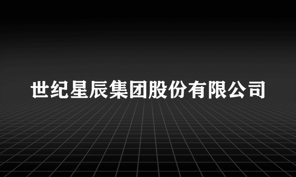 世纪星辰集团股份有限公司