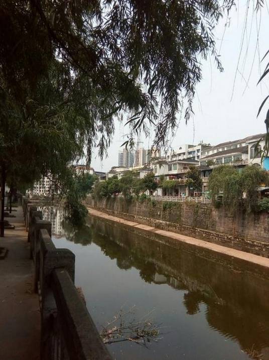 芝溪（长江支流嘉陵江支流涪江的支流）