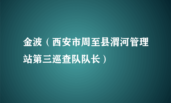 金波（西安市周至县渭河管理站第三巡查队队长）