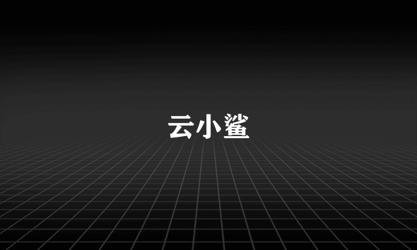 云小鲨