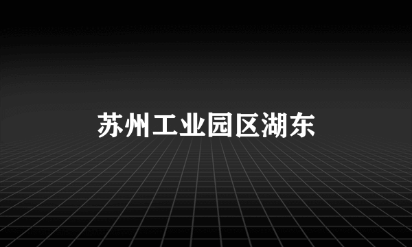 苏州工业园区湖东