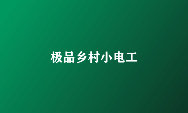 极品乡村小电工