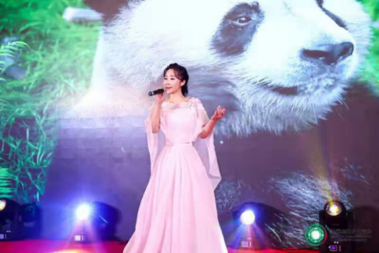 于丹（中国女歌唱演员）