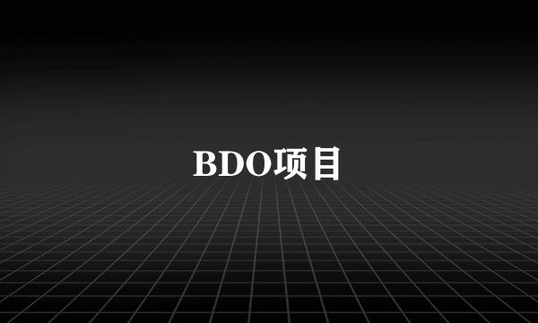 BDO项目