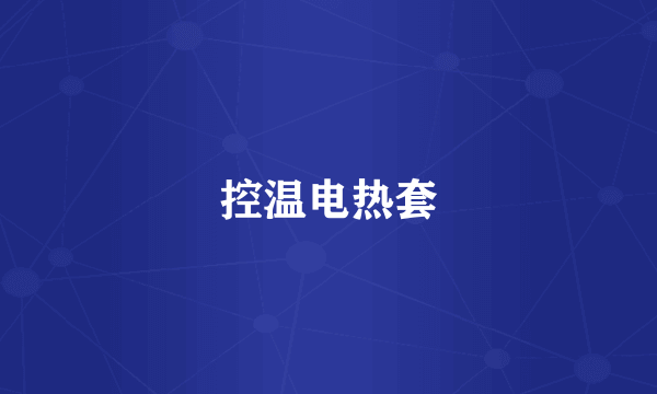 控温电热套