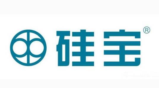 成都硅宝科技股份有限公司