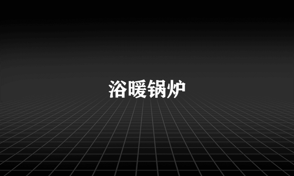 浴暖锅炉