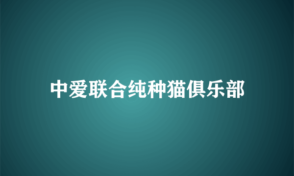 中爱联合纯种猫俱乐部