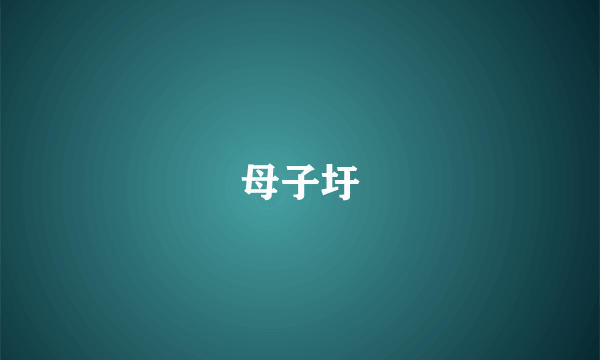 母子圩