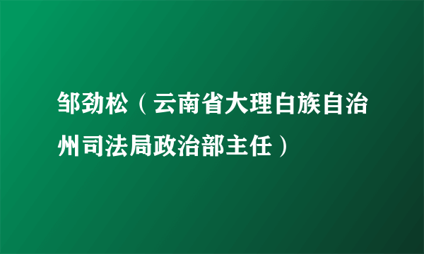 邹劲松（云南省大理白族自治州司法局政治部主任）