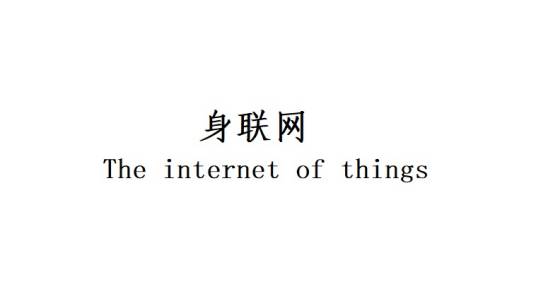 身联网