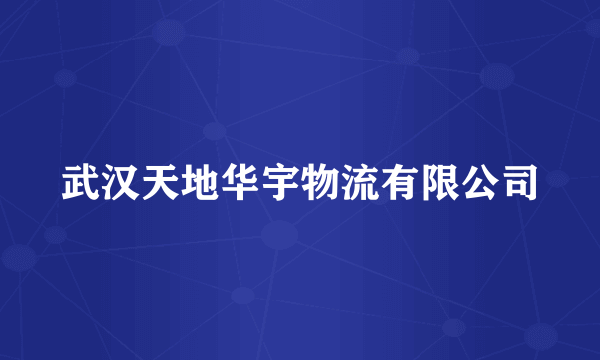 武汉天地华宇物流有限公司