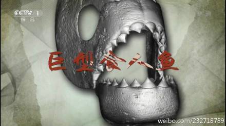 巨型食人鱼（中央电视台纪录频道播出的纪录片）