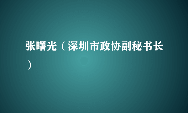张曙光（深圳市政协副秘书长）