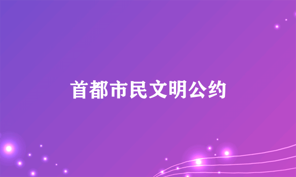 首都市民文明公约